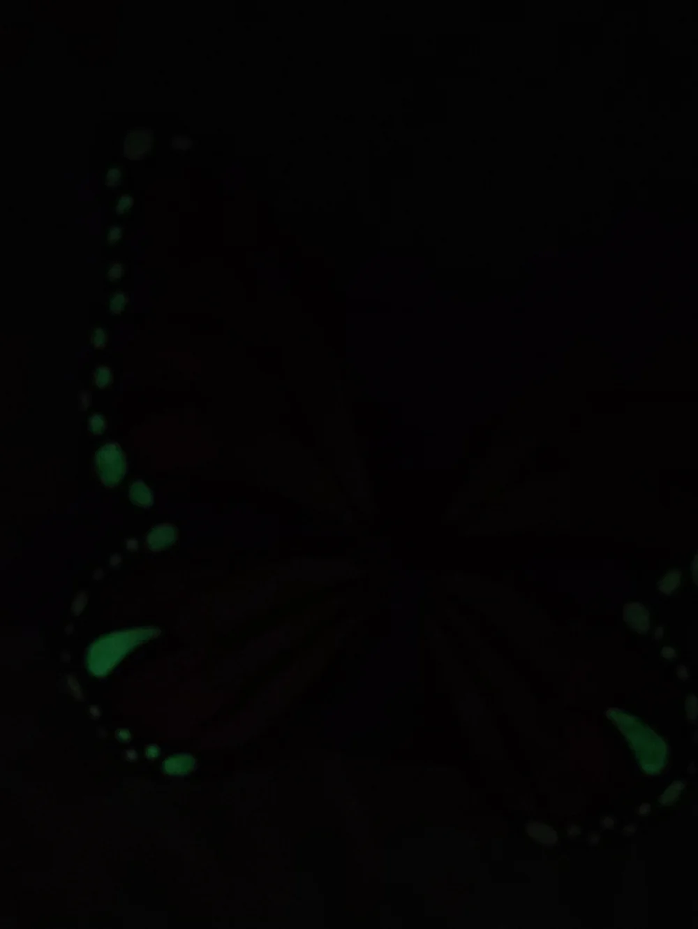 Doggie Butterfly Costume, Glows In The Dark, Size M